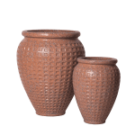 DSCF5895 copy (1) (1) (1) (1) (1) (1)