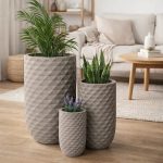 621632896_1372854184852588_2743448313093359930_n