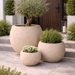 622368726_1372854214852585_3565440103639031903_n